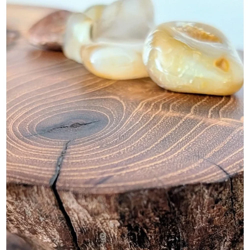 N/A black locust